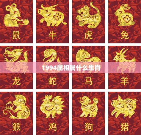 1994年屬什麼生肖|1994出生属什么生肖查询，1994多大年龄，1994今年几岁